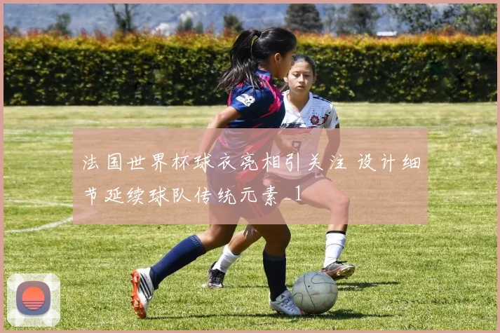 法国世界杯球衣亮相引关注 设计细节延续球队传统元素_1