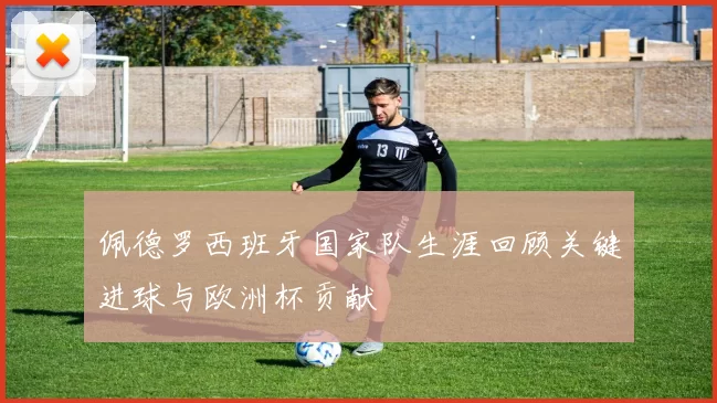 佩德罗西班牙国家队生涯回顾关键进球与欧洲杯贡献